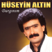 HUSEYIN ALTIN